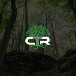 Gallery - College Tree Removal