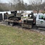 Gallery - College Tree Removal